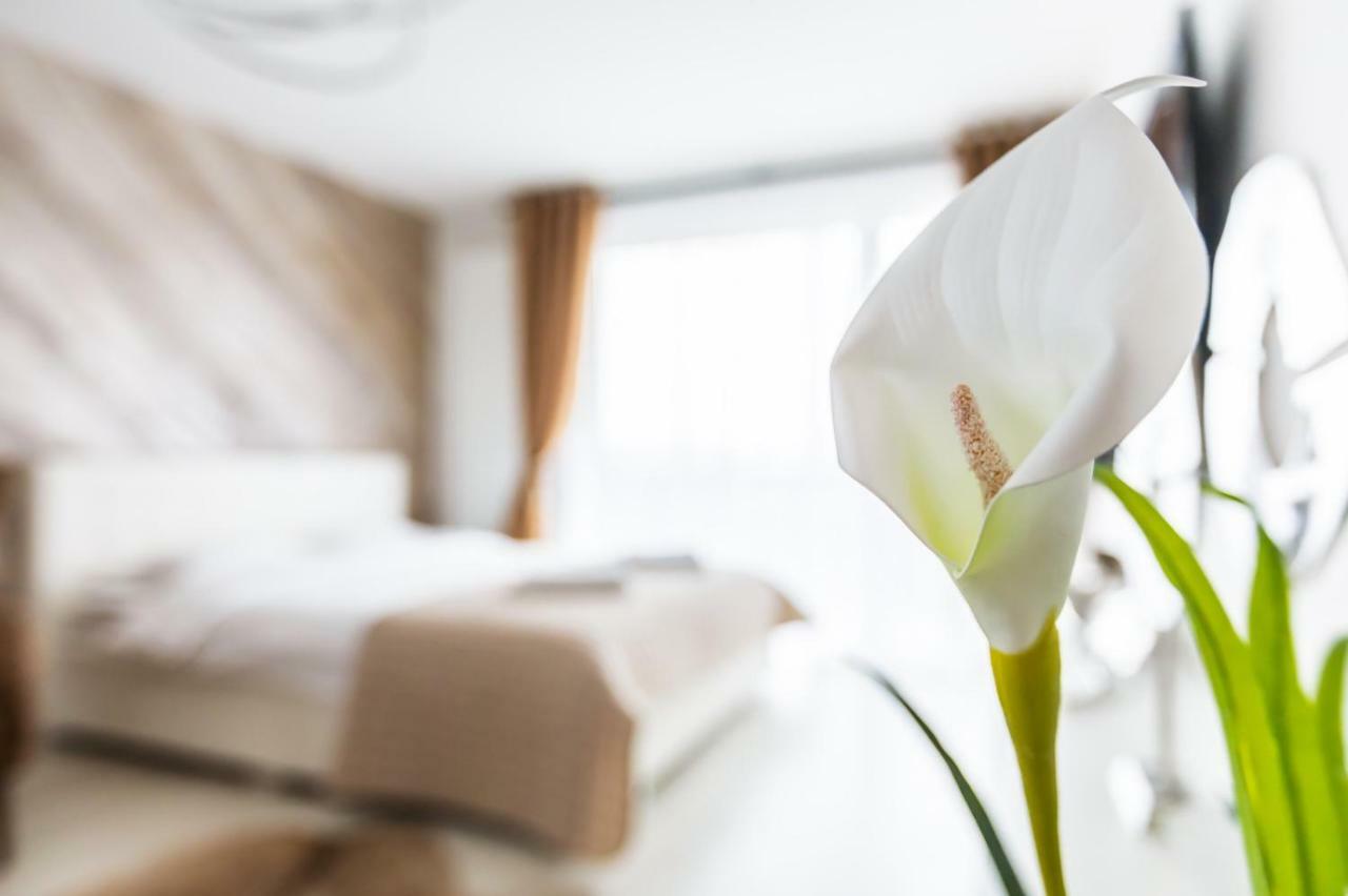 Apartment Alonisos Lux Brasov Luaran gambar